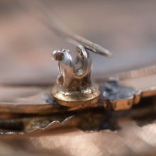 Curious Bee Shell Locket Brooch/Pendant c1870