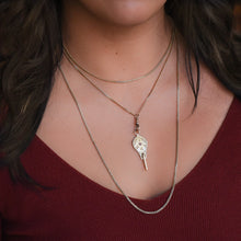 Extra Long Guard Chain c1900