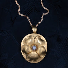 Wild Rose Parure c1880