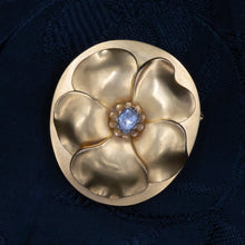 Wild Rose Parure c1880