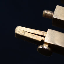 Wild Rose Parure c1880