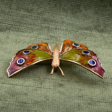 Guilloché Enamel Butterfly Brooch