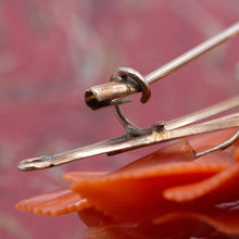 Georgian Coral Brooch