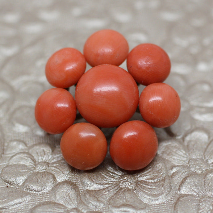 Circa 1880 14K Coral Brooch